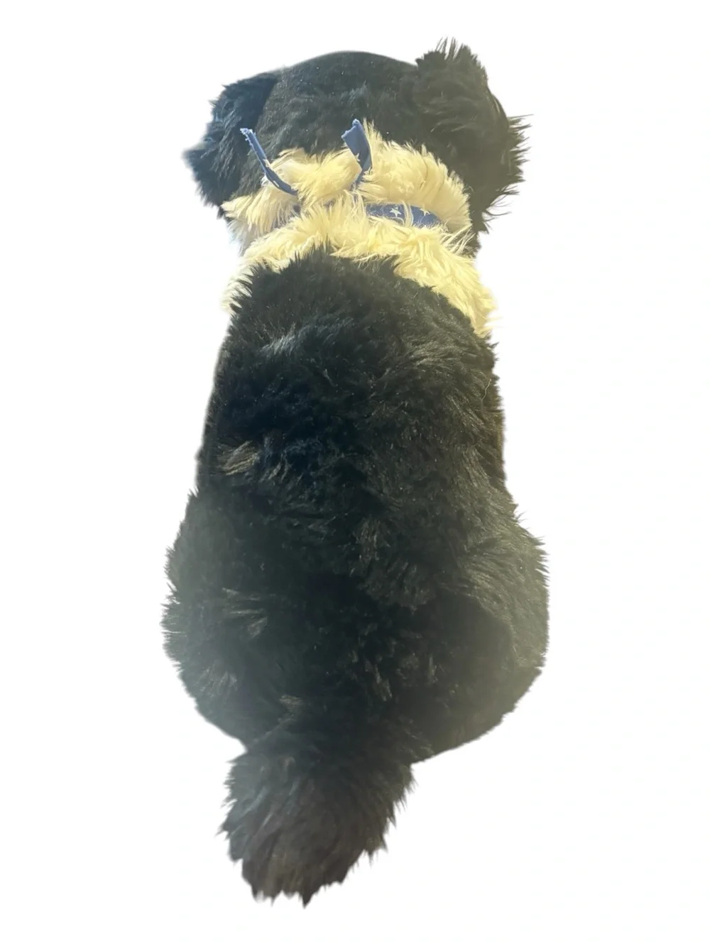 Circo Australian Shepard/Border Collie Plush Dog with Blue Star Bandana
